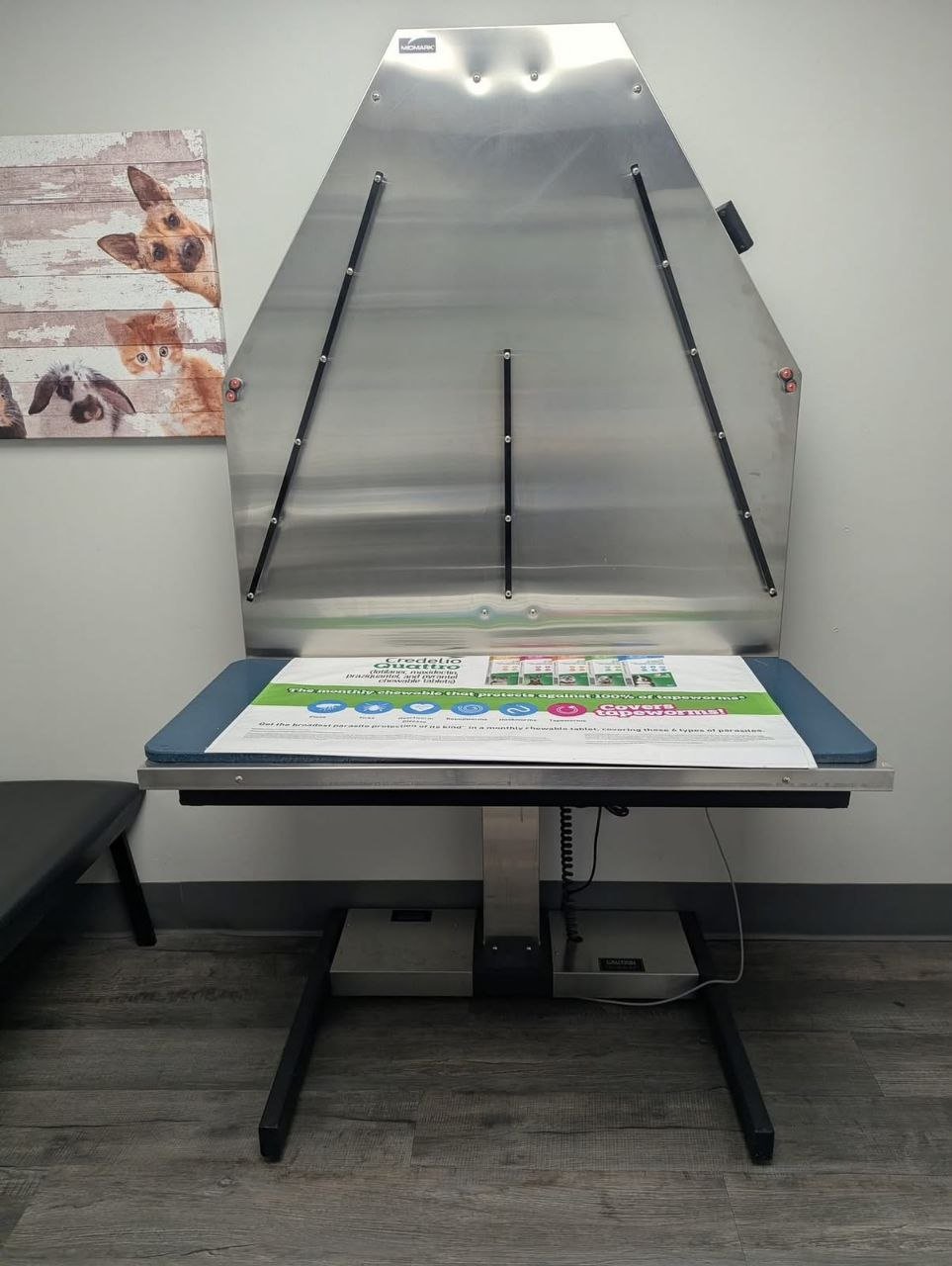 Midmark Electric Lift Table
