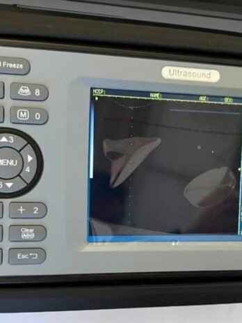 Portable Veterinary Ultrasound