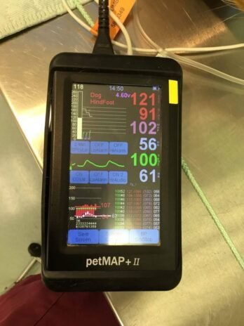 PetMAP+ II Veterinary Blood Pressure Monitor