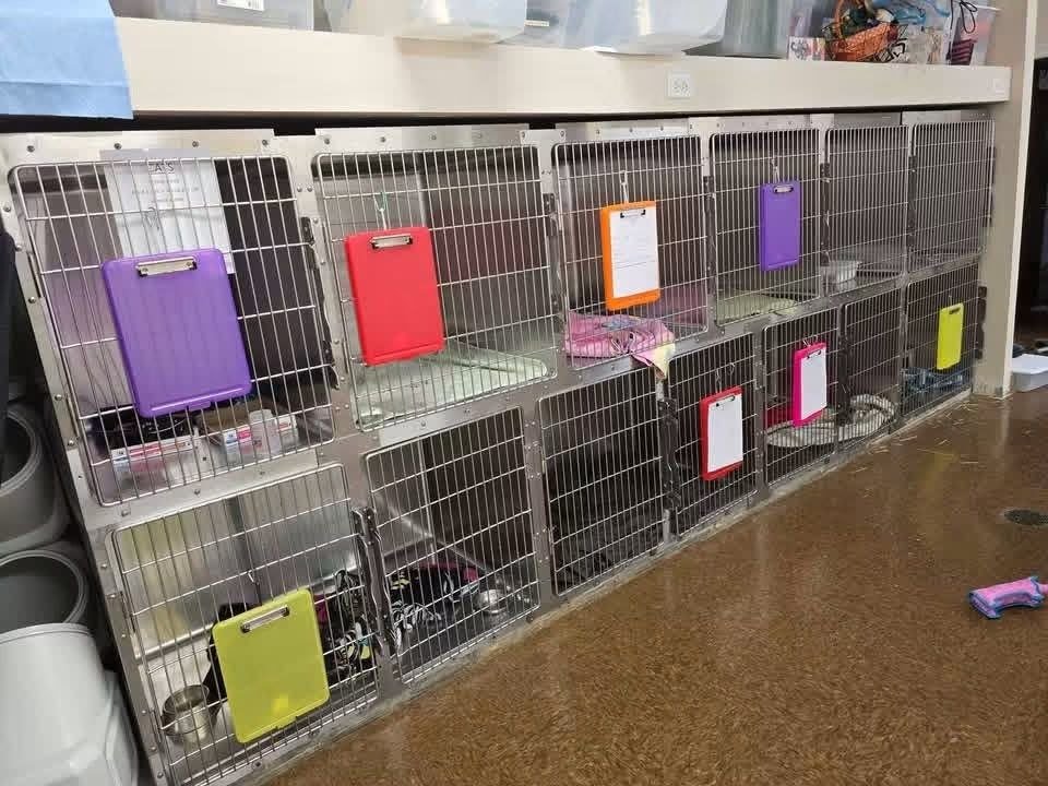 Large Bank of Veterinary Kennels